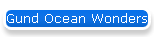 Gund Ocean Wonders