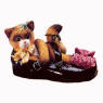"I'll Be There Every Step of The Way" A Calico Kitten in a Little Girl's Shoe