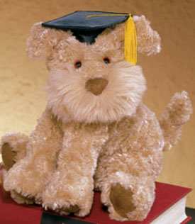 Puppies and Dogs dressed up for Graduation.  Adorable Pups just wanting to Congratulate someone special!