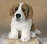st bernard cuddly toy