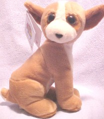 Our Sterling Silver Charms and plush Chihuahuas are just adorable.  They are sure to please any Chihuahua fan!