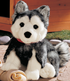 Adorable AKC plush puppies from Airedales to Yorkies