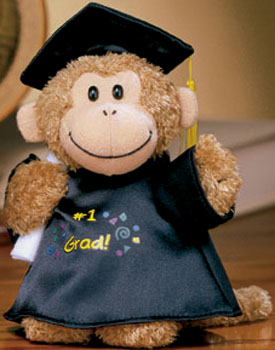 Gathered here Monkeys dressed and ready for Graduation!  Monkeys, Orangutans, Apes and Gorrilas all right here and ready to celebrate