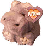 Click here to go to our Puffkins Bean Bag Plush Hippos
