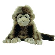 We carry a large selection of TY from Beanie Babies to Teenie Beanies we have all the Primates here!