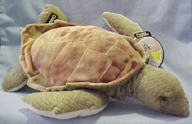 California Sea Lions and Green Turtles plush each have a poster tag with facts and trivia about the creature. From California Sea Lion to Sea Turtles find them here!