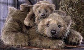 Over the years Gund has made beautifully detailed plush.  Their Designer Collection is the most realistic yet!  The Bears are soft plush and cuddly!