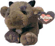 Click here to go to our Puffkins Bean Bag Plush Buffalo
