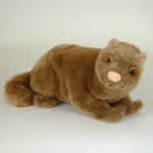 We have ADORABLE Wolves, Wild Boar, Minks and MORE stuffed full of fluff and ready to play!