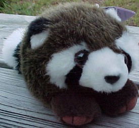 Click here to go to our Puffkin Bean Bag Plush Raccoons