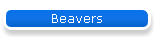 Beavers