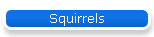 Squirrels