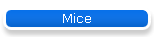 Mice