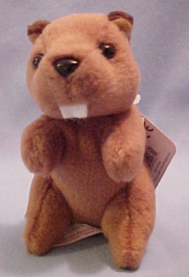 We have ADORABLE Beavers stuffed full of fluff and ready to play!