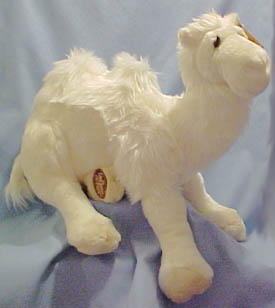 We have ADORABLE Camels stuffed full of fluff and ready to play!