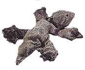 Adorable cuddly soft plush lizards from Russ Berrie, Gund and more.