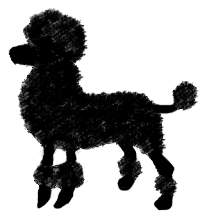 poodle image