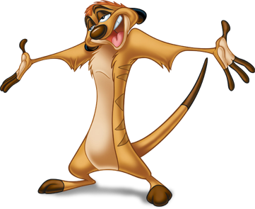 timon image