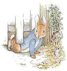 image peter rabbit