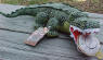 Disney's Peter Pan's Crocodile with Clock - When you press his paw the clock TICKS.  His eyes look REAL and his coloring is very real looking.  This was made in a limited quantity  15 inches long
