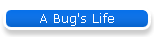 A Bug's Life