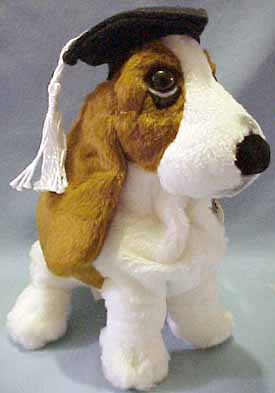 Click here to go to our Graduation Hushpuppy Basset Hounds