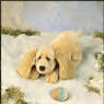 Lou Rankin Plush Little Friend Charlie the Cocker Spaniel - Retired 8/01  "A 'Dog's Life' would be a good one if its with you; full of love and fun!"  11 inches long