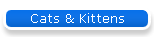 Cats & Kittens