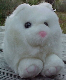 Click here to go to our Collectible Swibco's Puffkins Bean Bag Plush Cats and Kittens