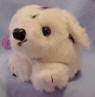 Puffkins Bean Bag Plush Cinder the Dalmatian - DOB 6/30/97 (dark purple tag) Cinder is a playful pup as you can see, always causing mischief wherever he may be. Cinder seems to be able to avoid any trouble, making sure he's outta there on the double. (introduced the Fall of 1997 and has been retired) 5 inches high