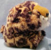 Puffkins Bean Bag Plush Lenny the Leopard - DOB 6/24/98  Lenny the leopard is a lovable friend.  He may be a large cat but his paw he'll lend.  Up in his home high in the trees, Lenny spends his time with guests enjoying the summer breeze. &nbsp;(introduced in January 1999 and has been retired) 5 1/2 inches