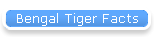 Bengal Tiger Facts