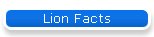 Lion Facts