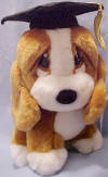 Graduation Sad Sam - Complete with Graduation cap and tassel 9 inches