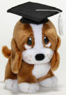 Graduation Sad Sam - Sad Sam is wearing a black cap with white tassel 8 inches