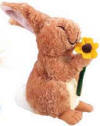 Gund Rambling Ted's Sunny Bunny Rabbit Friend Plush -  Rambling Ted's Sunny Bunny Friend is a soft plush &nbsp;(safe for children)