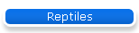 Reptiles