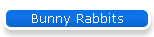 Bunny Rabbits