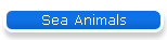 Sea Animals