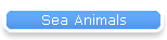 Sea Animals