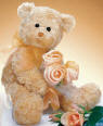 Gund Teddy Bear with Apricot Flower Bouquet The Teddy Bear is made from a ultra soft plush material. The flowers are velvety soft and arranged with netting and matching bow. 13 inches