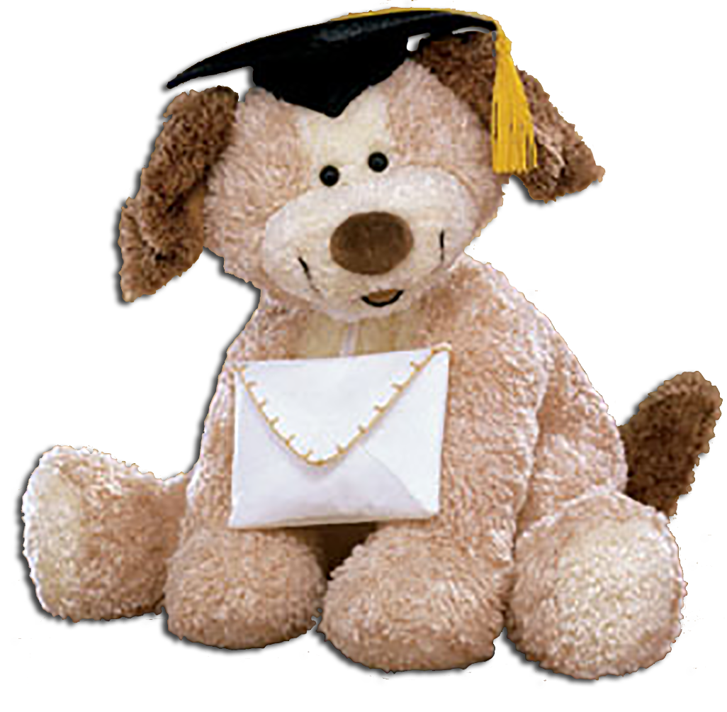 New Gund Graduation Dog with Black Cap 