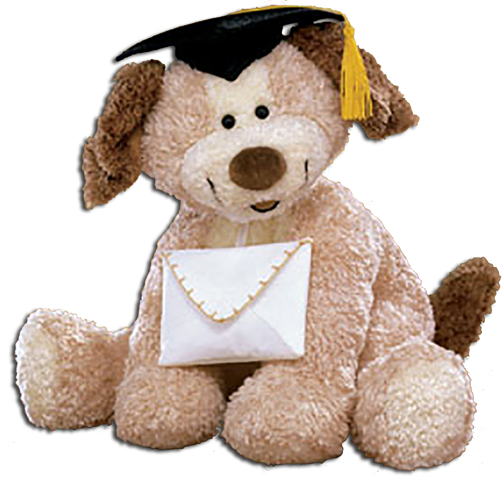 Graduation Stuffed Animal Puppy Dogs