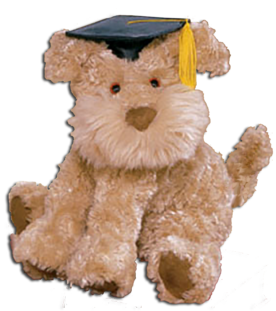 Adorable Airedale Terrier dressed in their caps with tassels. Soft cuddly plush graduate puppy dogs stuffed animals.