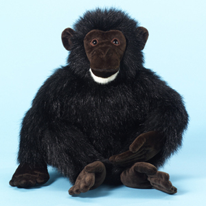 National Geographic Wildlife Plush Chimpanzee Stuffed Animal National Geographic Wildlife Plush Chimpanzee Stuffed Animal - made by Dakin - includes a National Geographic leatherlike patch attached to its tush or leg. The hang tag contains the following: "How Big is a Chimpanzee? About 4 and a half to 6 feet tall, and as much as a120 pounds. Where does the Chimpanzee live? In the tropical grasslands and evergreen forests of western, central, and eastern Africa. What is the Chimpanzee's favorite snack? Plants, but sometimes insects and meat. Are the Chimpanzee's like humans? Chimps make many gestures, facial expressions, and noises... just like humans. Are Chimpanzees and humans related? Scientists believe that the Chimpanzee is the closest living relative to humans. How do Chimpanzees communicate with one another? Chimps use noises and gestures to communicate with