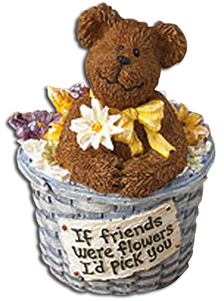 Adorable Bears inside baskets sending a special message to a special Friend. A great to let that someone special know you appreciate them. They make a very unique friendship gift.