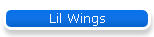 Lil Wings