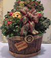 Front view of 2nd Edition Boyds Uncle Beans Treasure Box Nicholas Holiday Basket - (introduced Fall 2004 and has been retired) This rustic basket (looks like bark!) is filled with holiday greens. Pop the lid to read a special Christmas message and reveal a heart and holly tray. Remove the tray to find a little reindeer mouse-stuffed from eating too many sugar cookies! Inside the lid reads: "May Christmas be Evergreen in your heart." Quote: "God Bless Christmas" - Charles Dickens 2 1/2 inches high by 3 inches wide by 2 inches deep
