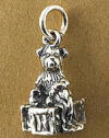 Boyds Sterling Silver Teddy Bear Charm Binkie Baby Bear with Blankie on Alphabet Blocks - (introduced Fall 2004 and has been retired) Binkie, a baby bear charm sitting on his alphabet blocks is created by Boyds Master Designers, and made from solid sterling silver and captures the same detail found on Boyds' award winning Bearstone figurines! 1/2 inch in size