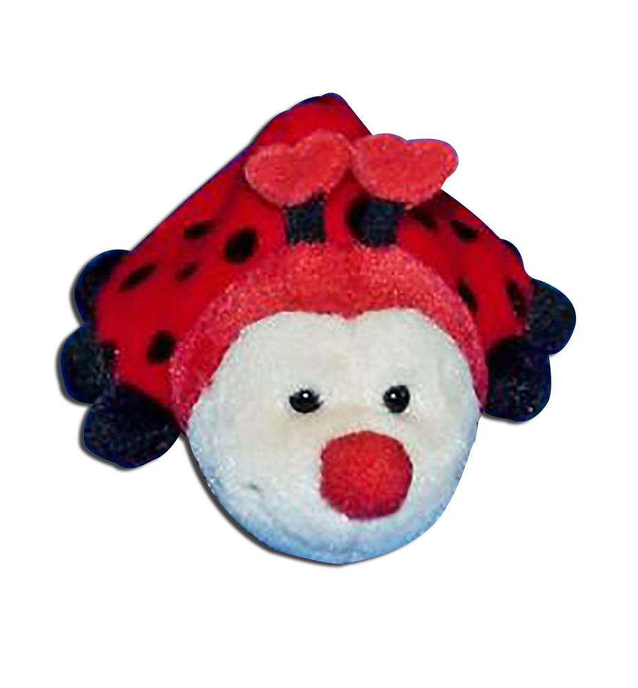 Ladybugs and more with Valentines Greetings for someone special as an unique Valentines Gift from your heart!